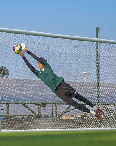 David Rodriguez 